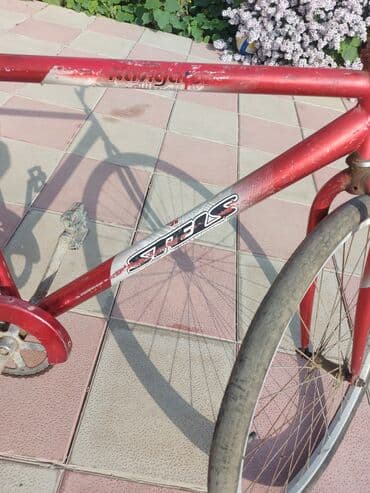 сколько стоит велосипед скоростной: Şəhər velosipedi Stels, 28", sürətlərin sayı: 1 — 1