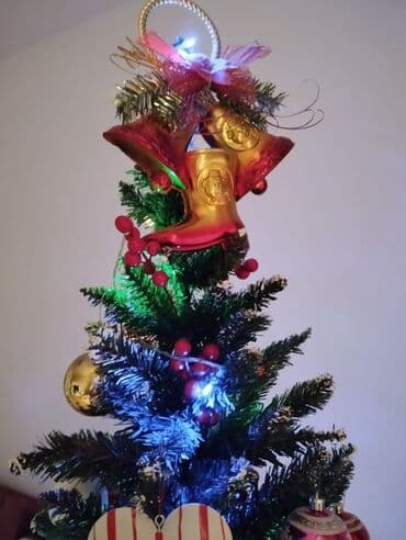 divar boyalari kataloqu: Yolka, təzə, hündürlük 130 sm. Sumqayit — 4