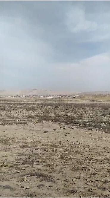mida satis: 80 sot, Tikinti, Mülkiyyətçi, Kupça (Çıxarış) — 5