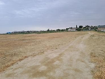 58 соток, Риэлтор, Купчая — 1