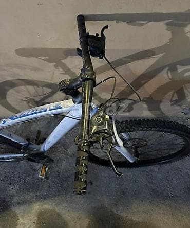 ağ baliq: Velosiped satilir herseyi islekdir maraglanan elsage saxlasin endirim — 2
