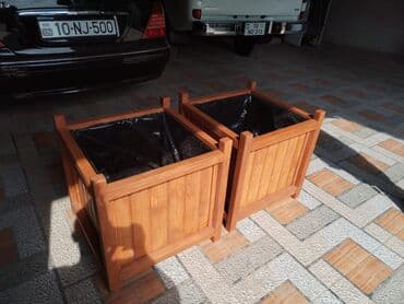 Çöl bitkiləri: Taxta dibçək. rəng; Armut. material; Taxta. bağınıza və ya — 1