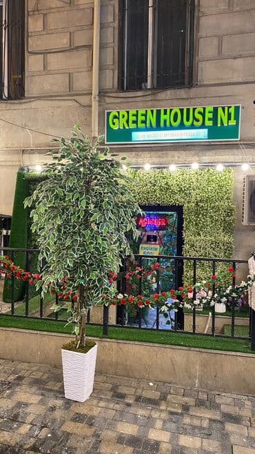 bitki toxumlari: Depodan bir basa satis 70azn baslayan dekarativ suni agaclar topdan — 30