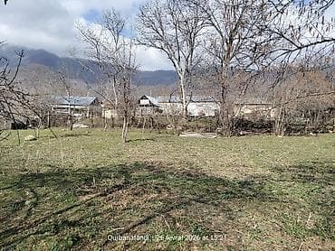 10 sot, Tikinti, Makler, Kupça (Çıxarış)