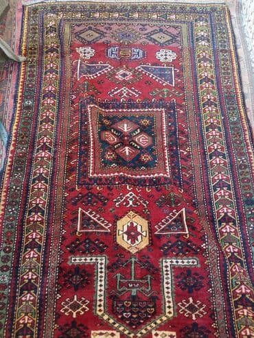 продажа комнатных растений: Ковер — 2