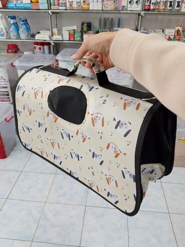 pişik itib: Fars, Erkək, Yaxşı əllərə, Ödənişli çatdırılma — 7