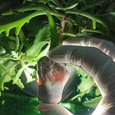 green witch saat: Kolleksiyamdakı Təbii Daşların Satışı | Mineral • Kristal • Dekorativ — 4