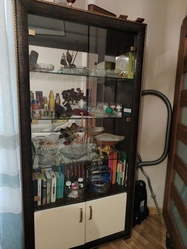 Metal axtaran aparatlar: Şüşəli dolab vitrini — 3