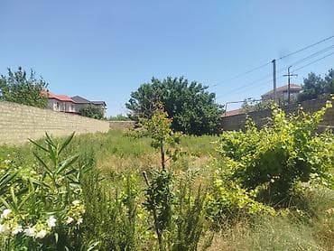 şəkidə torpaq: Torpaq sahəsi – Qurd Dərəsi - Ölçü: 4 sot - Məkan: Qurd Dərəsi — 5