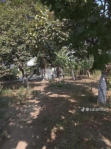 ev gence: Kənd təsərrüfatı — 1