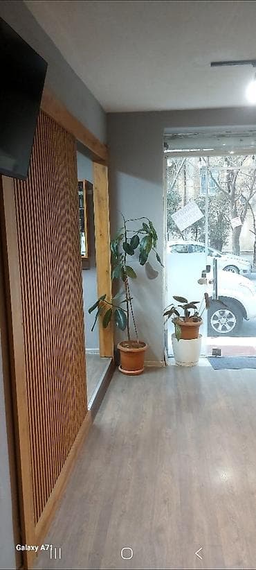 ucuz obyektler: Təcili icarəyə obyekt! - Ünvan: Nəsimi rayonu, Səməd Vurğun küçəsi - — 2