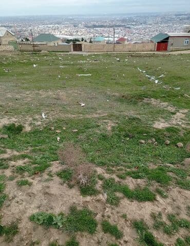 Kirayə torpaq sahələri: 10 sot, Tikinti, Kupça (Çıxarış) — 2