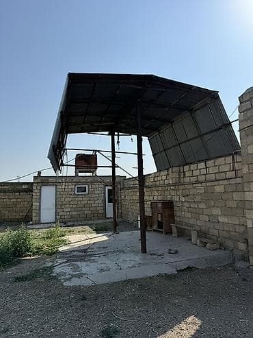suraxanıda torpaq satılır: Kənd təsərrüfatı — 6