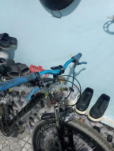 turist velosiped: VEGAS dağ velosipedi - Çərçivə: alüminium, yüngül və möhkəm, daxili — 6