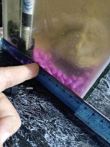 Akvariumlar: Akvaryum dəsti 3baliq - Şüşə akvaryum: ölçülər təxmini 30 sm (eni — 6