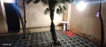 снять квартиру в баку на нефтчиляр: Oglanlara kirə ev — 18