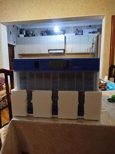 12v adapter: 128 yumurta tutumlu inkubator. 3 dəfə istifadə olunub 128 yumurtadan — 3