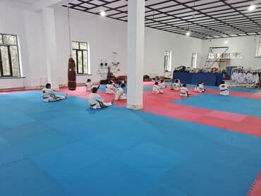 математика 5 класс учебник азербайджан 2 часть: Tatamiler,rezin yer dowemeleri(geranol),gulew doweyinin — 13