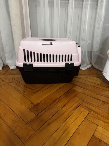 İtlər: Britan, Dişi, Yaxşı əllərə, Ünvandan götürmə, Ödənişli çatdırılma — 2