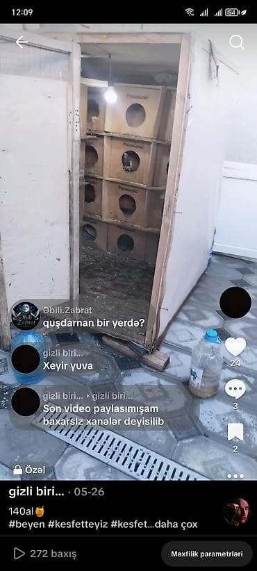 göyərçin yuvası: Göyərçin yuvası satılır hündürlüyü 1.50 eni 1.30 uzunu 1. 50 Hər yani — 1