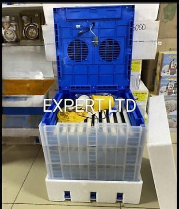 300 yumurta, Çin, Tam avtomat, Bütün növ quşlaq üçün, Zəmanət ilə