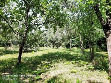 şabran torpaq: 10 sot, Tikinti, Mülkiyyətçi, Kupça (Çıxarış) — 8