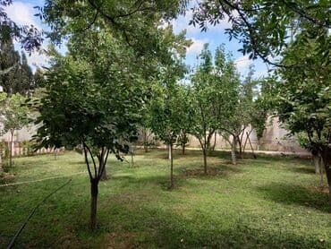 makler gence: 6 otaqlı, 400 kv. m, Orta təmir — 13