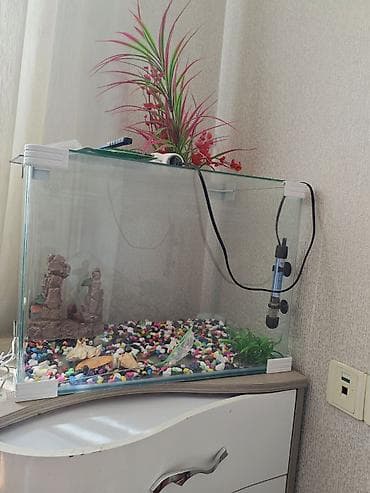 akvarium sumqayit: Akvaryum dəsti - Şüşə akvaryum: düz ön şüşəli, təxminən böyük ölçü — 1