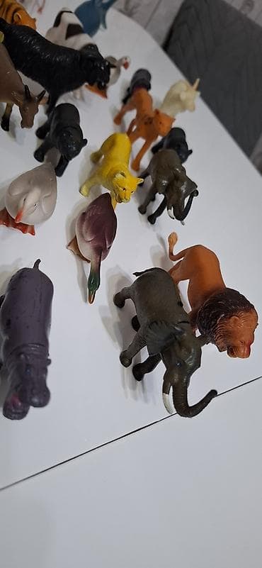 usaq masn: Ev Heyvanları 31 ededi şəkildə nə görürsüzə hamsı verilecek sağlam — 2