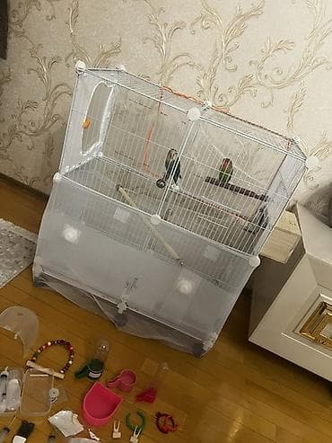 sultan quşu: Quş qəfəsi və aksesuarlar dəsti Məhsul təsviri: - Metal çərçivəli — 3