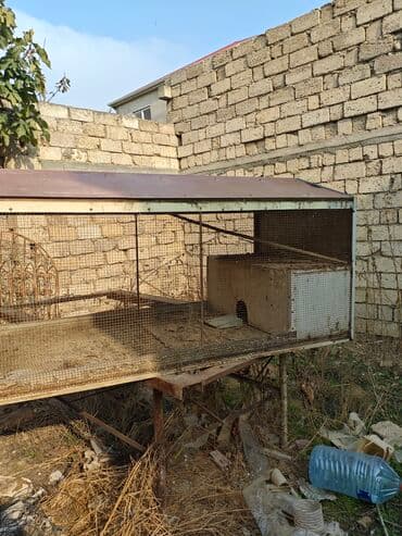 xamyak yuvası: Metall karkaslı iri ölçülü qəfəs/saxlama aviaryası - Material: möhkəm — 2