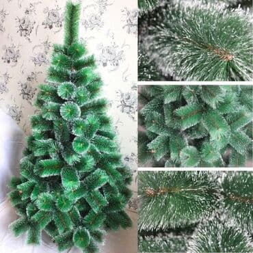 avokado ağacı: Yolka Yolka satisi teze mallar endirimde Yeni il Yeni il ağacı Yolka — 1