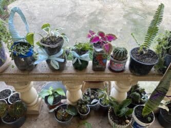 yeni il şənliyi 2022: Xalça — 52