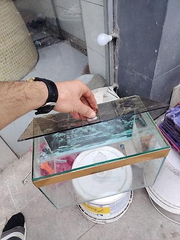 aqvarium: Şüşə akvarium – qapaqlı model - Material: qalın, şəffaf şüşə — 2