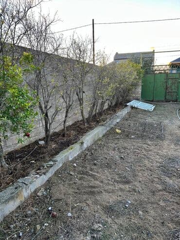 ismayıllı kirayə evlər: 5 sot, Mülkiyyətçi — 2