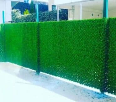 tuya ağacı faydaları: Sarmaşıq .süni sarmaşıq.qazon. süni qazon — 2