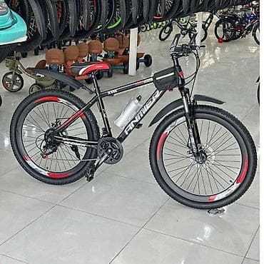 veliklər: Velosiped "Animer" ✅ Model: Anmier ✅ Təkər Ölçüsü: 26 ✅ Əyləc Sistemi — 1