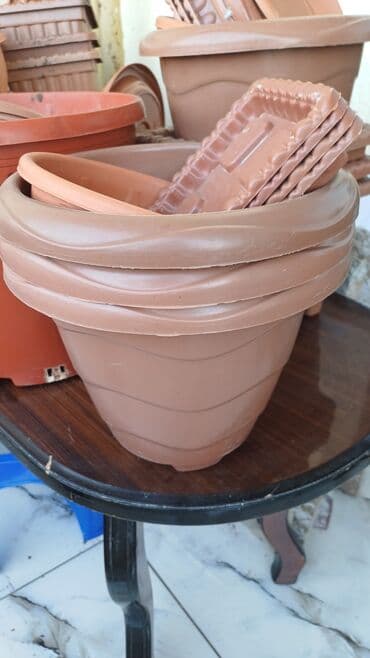 Digər bitkilər: 50eded.hamsi 20 azn — 6