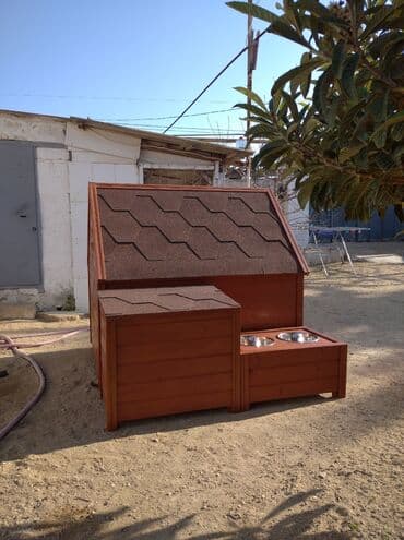 Yuvalar: Reklamımız keyfiyətimizdir Rəng seçimi sərbəstdir Bu yuva iri həcimli — 4