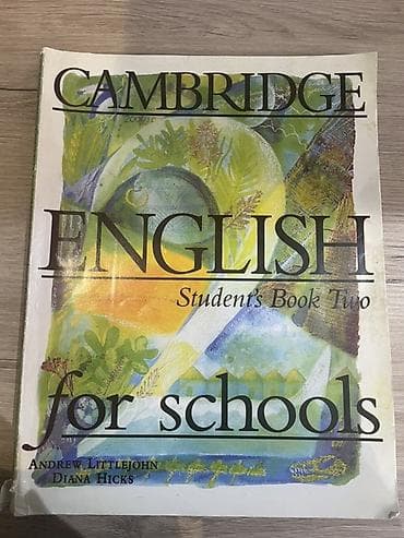 İngilis dili 11-ci sinif