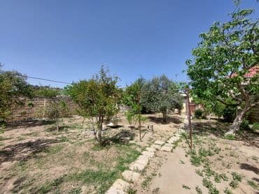 tap az bag evleri pirsagida: Bakı, 150 kv. m, 7 otaqlı, İnternet, Telefon, İşıq — 7