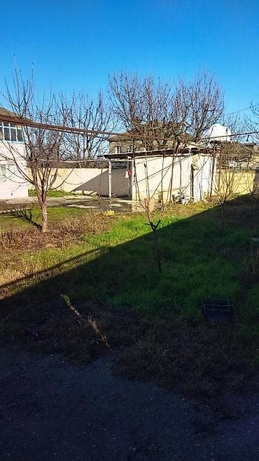 xocesen heyet evleri kiraye: Satılır: həyəti və meyvə bağı olan kənd evi — 8