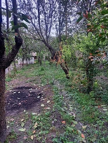 sutkaliq bag evi: Allah her kese xeyir versin seherde avtovagzala yaxin 11sot mehlenin — 1