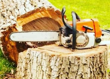 plastik kapi pencere: Ağac kesmek budamaq işləri görülür.🪚 Kotukleri səliqəli dogramaq qol — 5