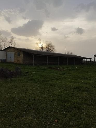 500 sot, Kənd təsərrüfatı, Mülkiyyətçi, Kupça (Çıxarış), Bələdiyyə lalafo.az -da 500 sot, Kənd təsərrüfatı, Mülkiyyətçi, Kupça (Çıxarış), Bələdiyyə