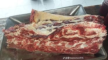 Quş əti: Kənd Məhsulları – stoludur eladir ozum yigirmisam uzunu 3 metir eni — 8