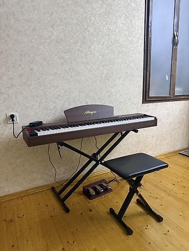 Yenidir, çox az işlənib. Allegro rəqəmsal piano – 88 tam ölçülü — 2