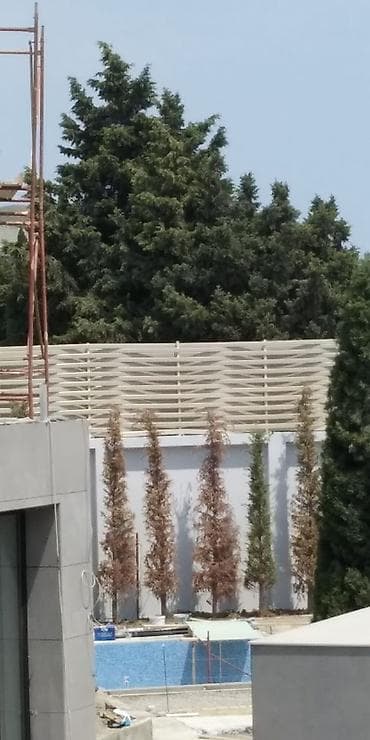 Alüminium dekorativ səs‑içəri keçirməyən ekran/panel sistemləri lalafo.az -da Alüminium dekorativ səs‑içəri keçirməyən ekran/panel sistemləri