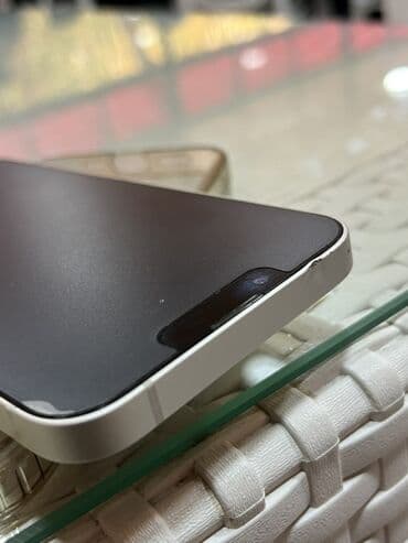 appl: IPhone 13, Gümüşü, Face ID — 7