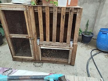 cuce ve xoruz: Taxta toyuq/heyvan qəfəsi - Material: möhkəm taxta karkas, ön — 1
